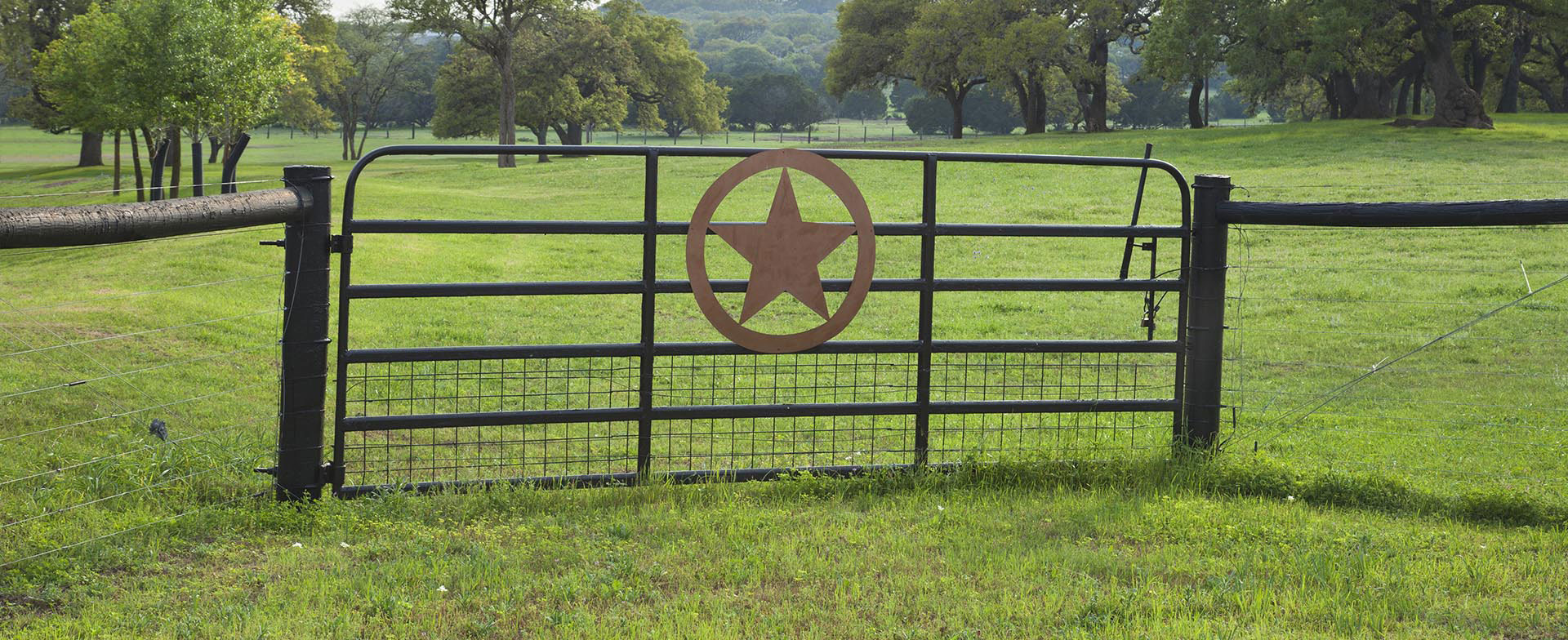 Endodontic Office in Abilene